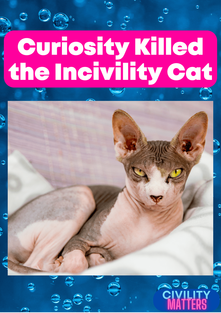 Incivility Cat